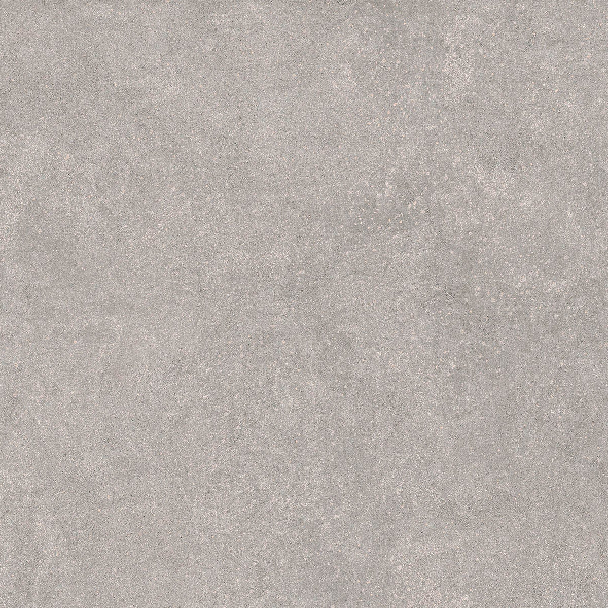 24"x48" Infinity Gray Rectified Matte Porcelain Tile