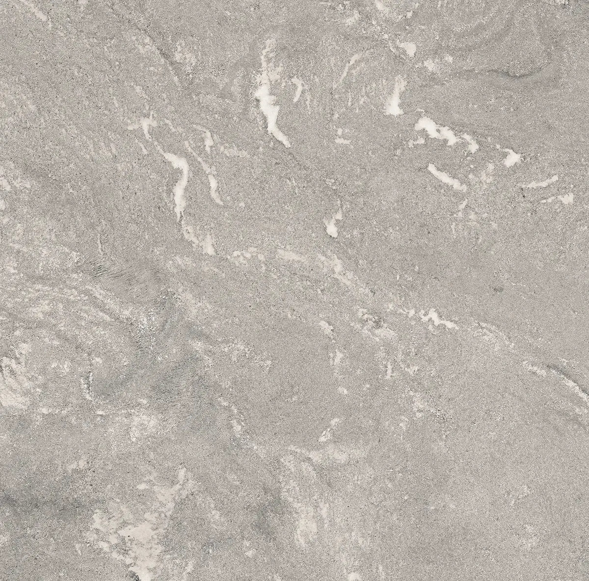 24" x 24" Harmony Light Gray Rectified Matte 20mm Paver - factory image 6