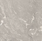 24" x 24" Harmony Light Gray Rectified Matte 20mm Paver - factory image 1