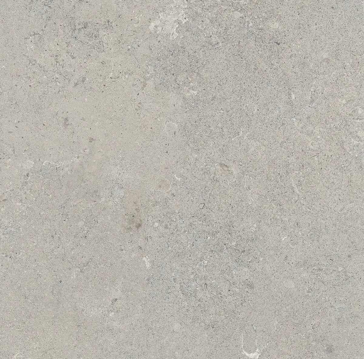 24" x 24" Essential Gray Rectified Matte 20mm Outdoor Paver - factory image 3