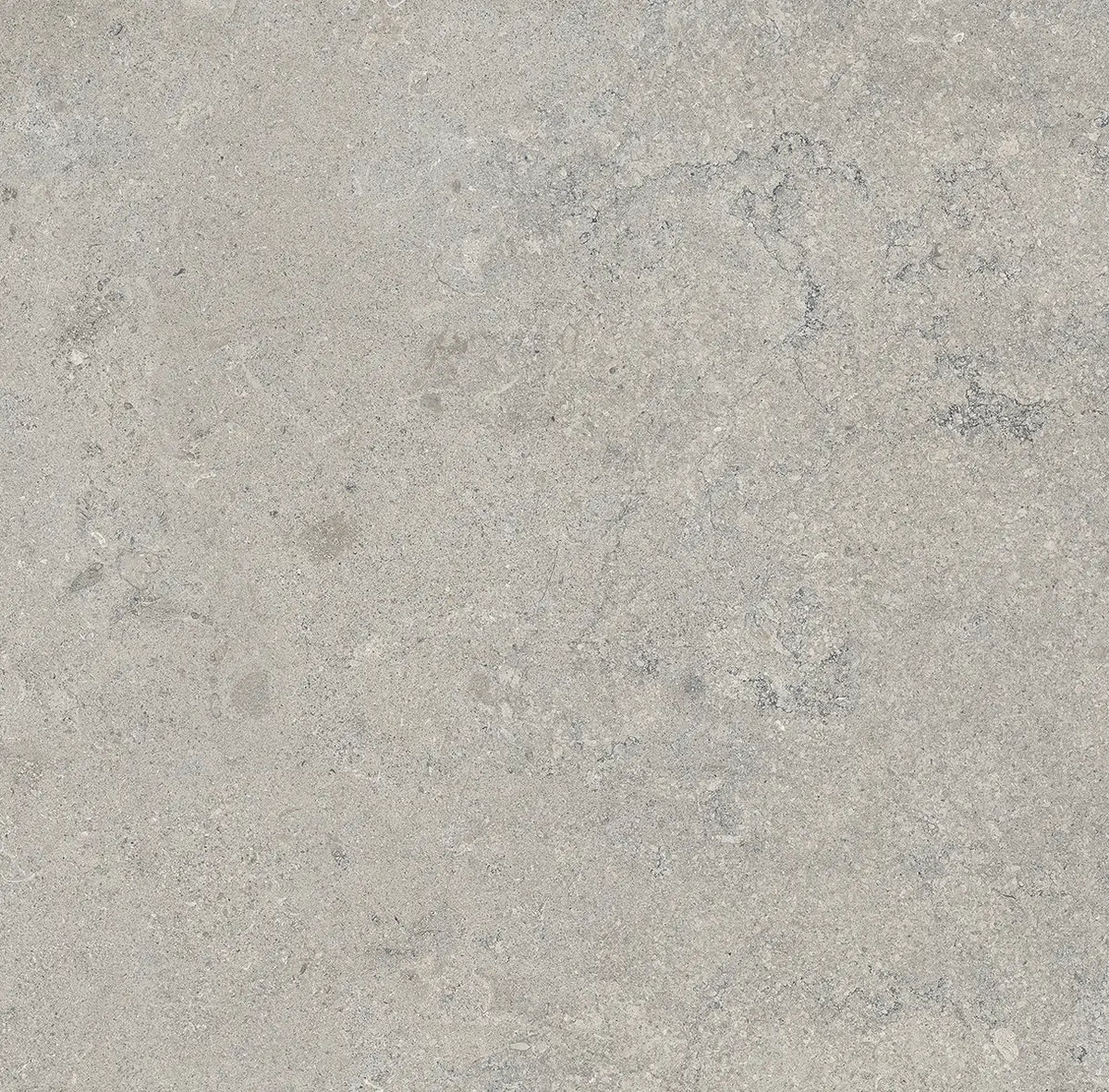 24" x 24" Essential Gray Rectified Matte 20mm Outdoor Paver - factory image 5