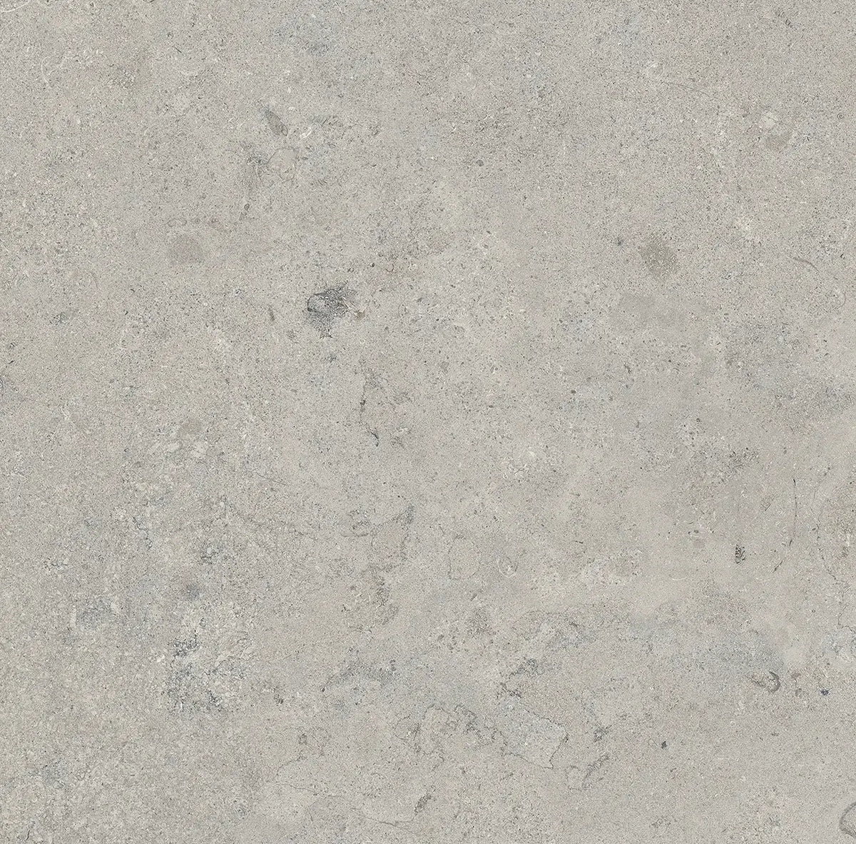 24" x 24" Essential Gray Rectified Matte 20mm Outdoor Paver - factory image 2