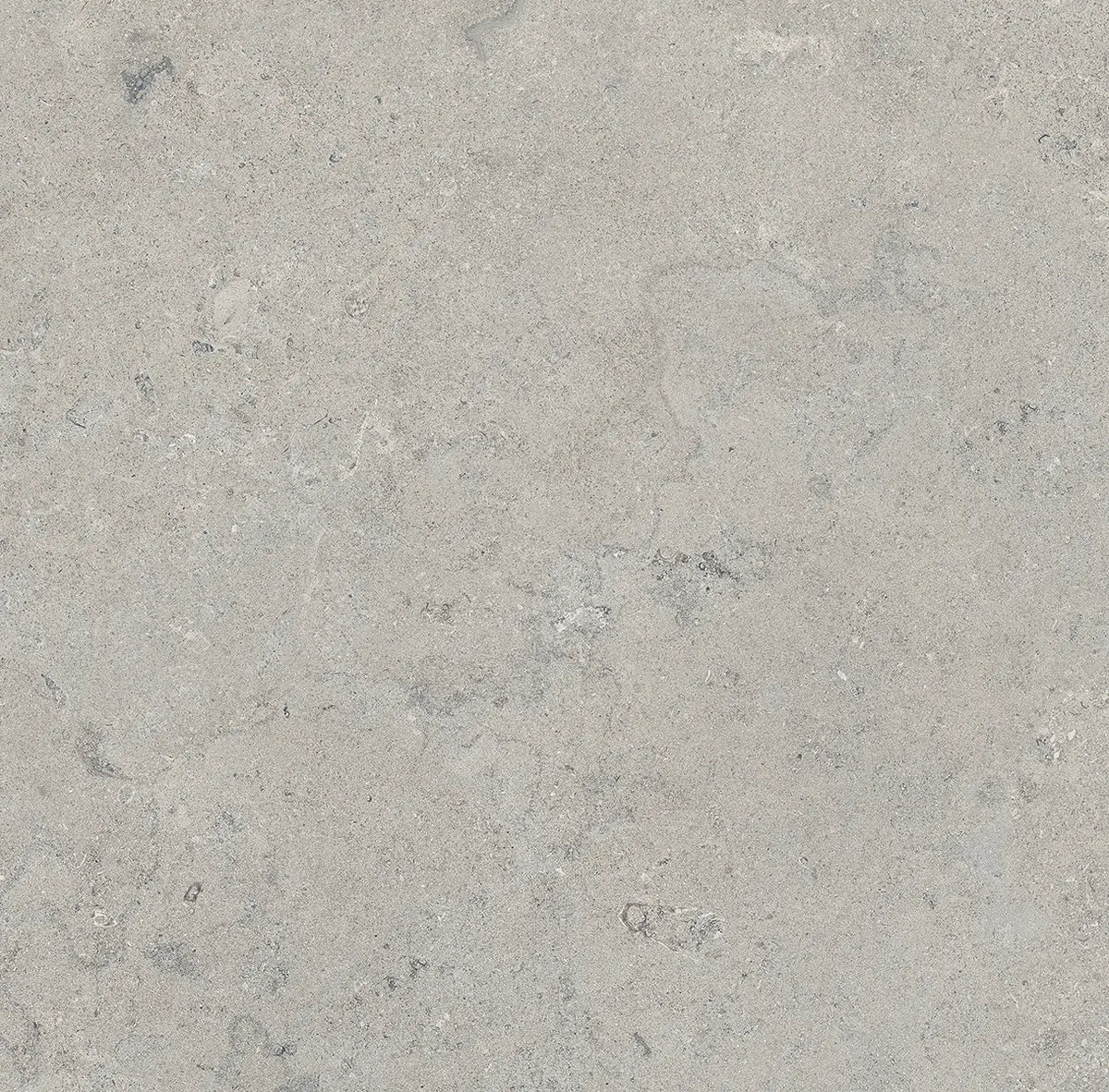 24" x 24" Essential Gray Rectified Matte 20mm Outdoor Paver - factory image 6
