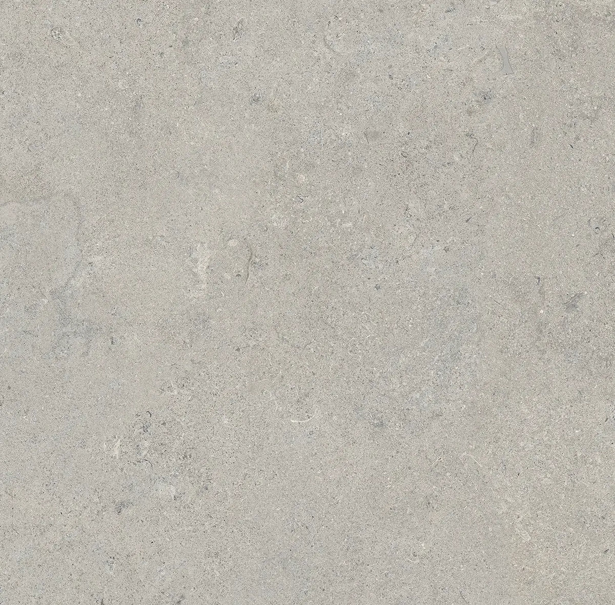 24" x 24" Essential Gray Rectified Matte 20mm Outdoor Paver - factory image 1