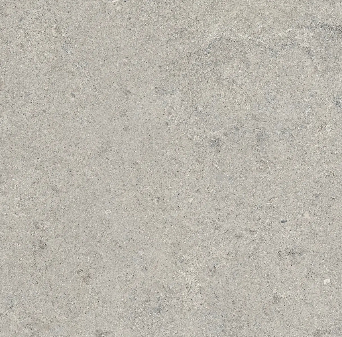24" x 24" Essential Gray Rectified Matte 20mm Outdoor Paver - factory image 4