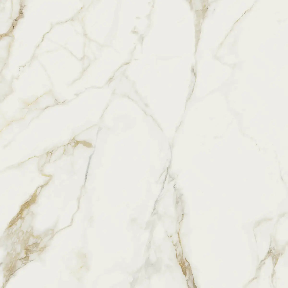 48" x 48" Valeria Rectified Soft Matte 8.5mm Floor Tile - factory image 3