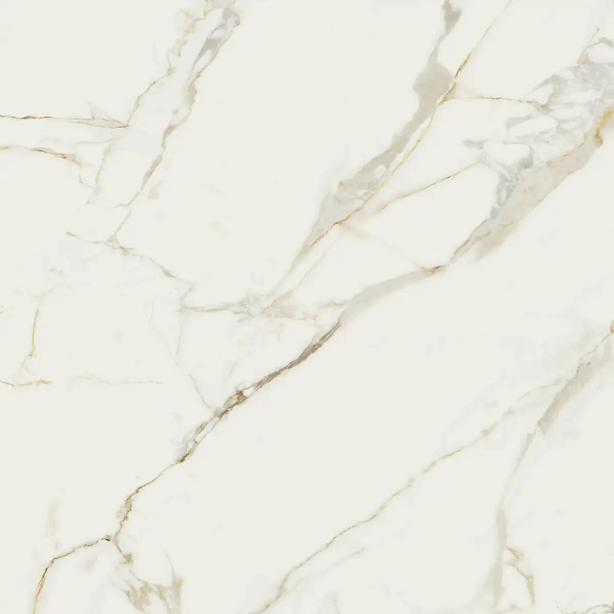 48" x 48" Valeria Rectified Soft Matte 8.5mm Floor Tile - factory image 1