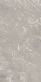 24" x 48" Harmony Light Gray Rectified Matte DF - factory image 2