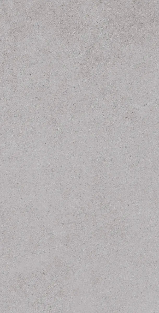24" x 48" Padova Gray Rectified Matte R11 20mm Outdoor Paver - factory image 1