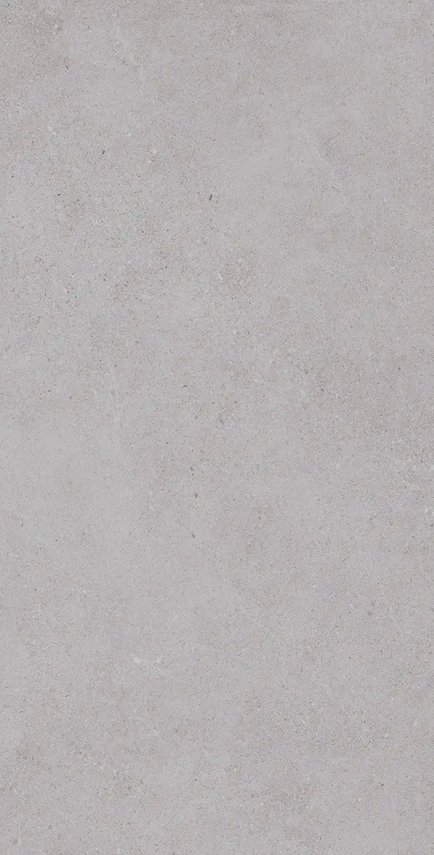 24" x 48" Padova Gray Rectified Matte R11 20mm Outdoor Paver - factory image 2