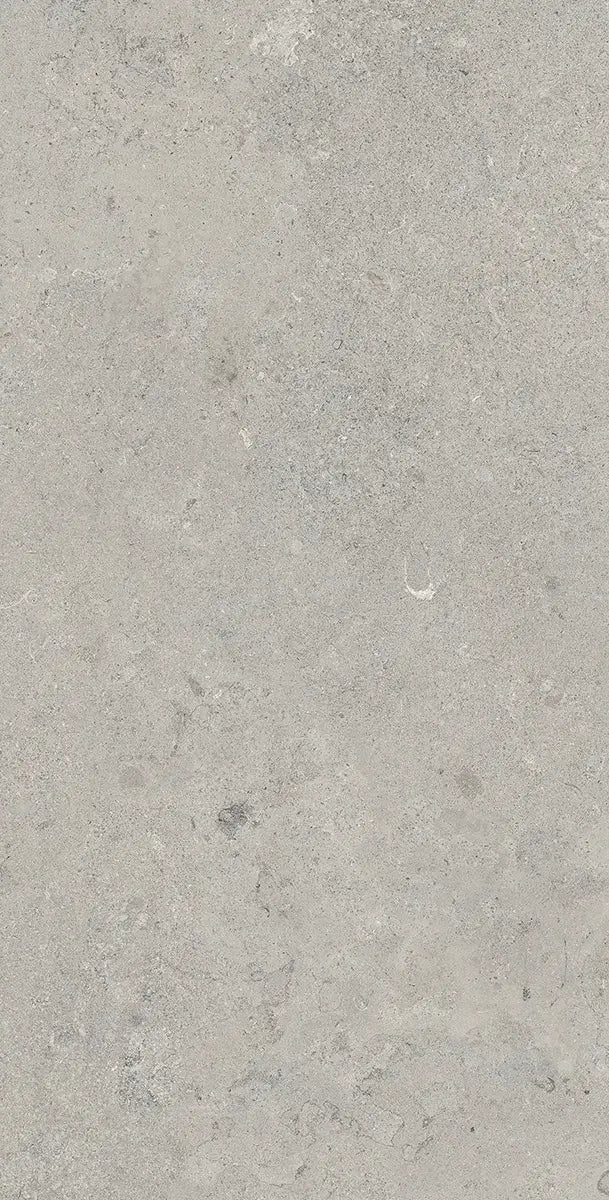 24" x 48" Essential Gray Rectified Matte DF 8mm Floor Tile - factory image 3