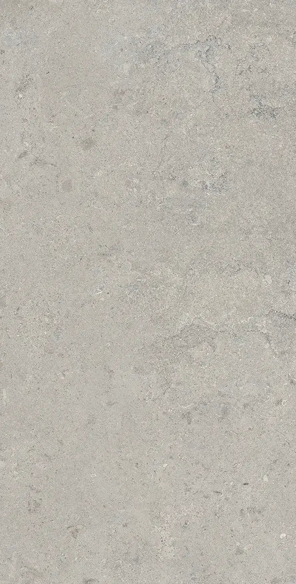 24" x 48" Essential Gray Rectified Matte DF 8mm Floor Tile - factory image 4