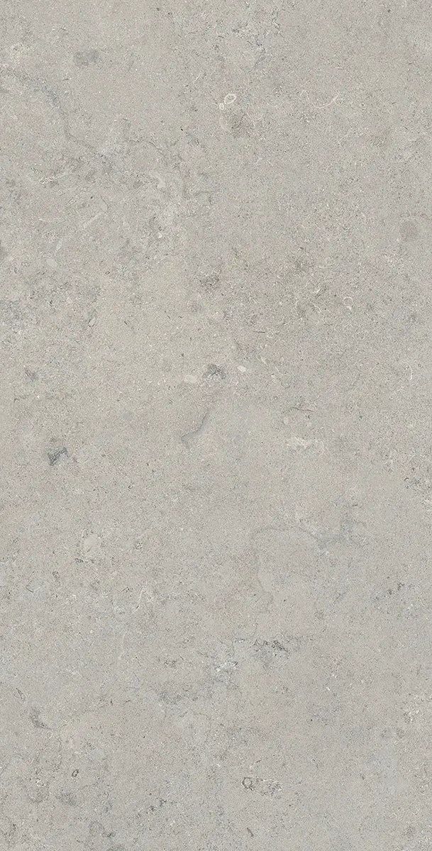 24" x 48" Essential Gray Rectified Matte DF 8mm Floor Tile - factory image 5