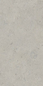 24" x 48" Essential Gray Rectified Matte DF 8mm Floor Tile - factory image 1