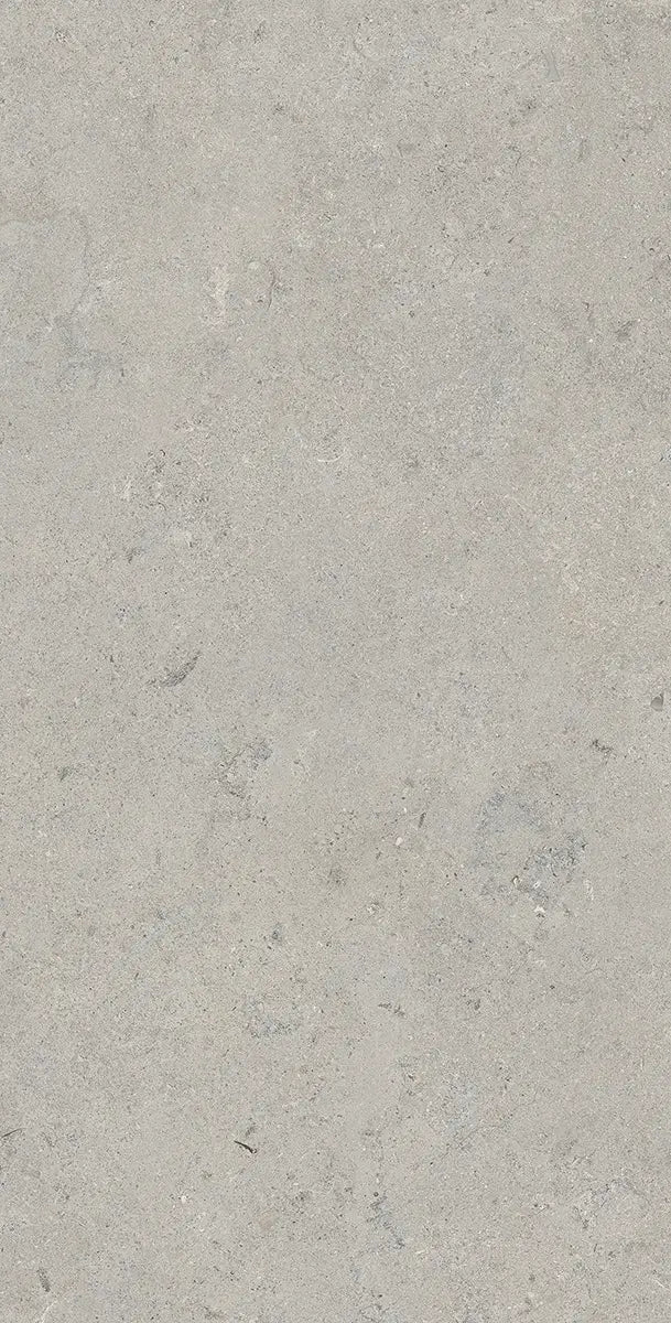 24" x 48" Essential Gray Rectified Matte DF 8mm Floor Tile - factory image 1