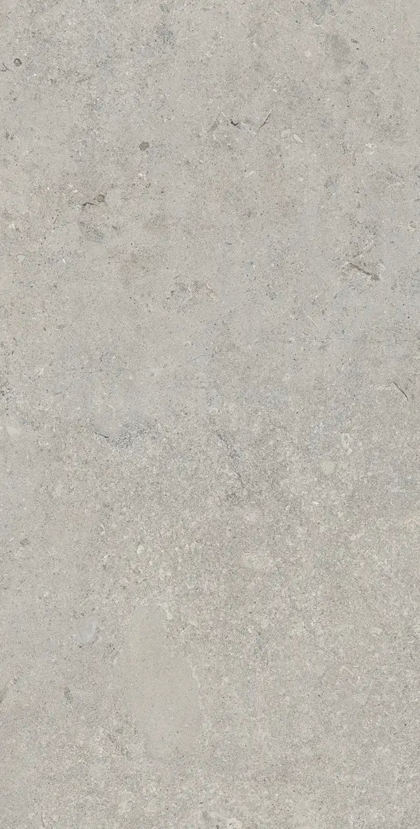 24" x 48" Essential Gray Rectified Matte DF 8mm Floor Tile - factory image 2