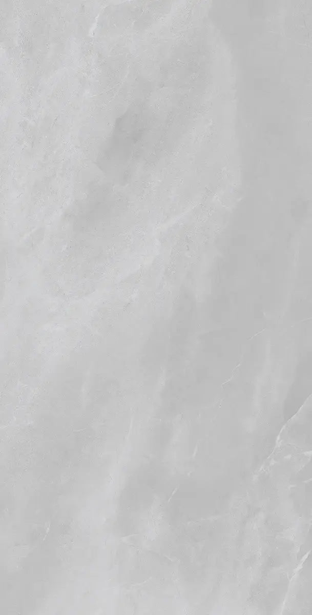 24" x 48" Messina Light Gray Rectified 8mm Floor Tile - factory image 5