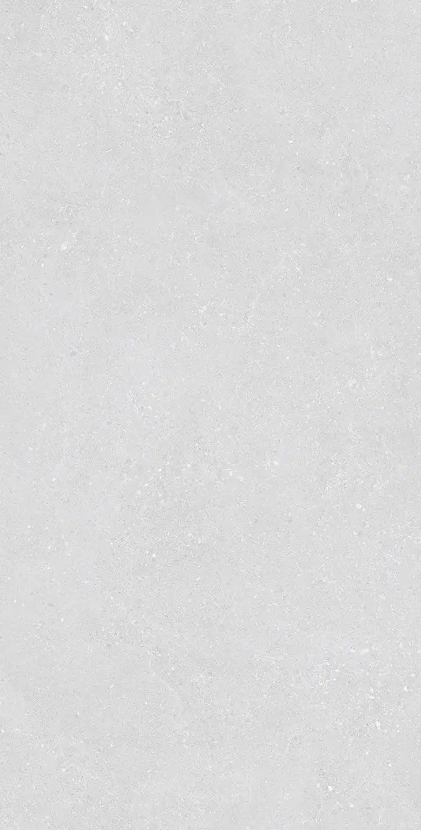 Padova White 24″ × 48″ matte porcelain tile, face 1 — white cement look