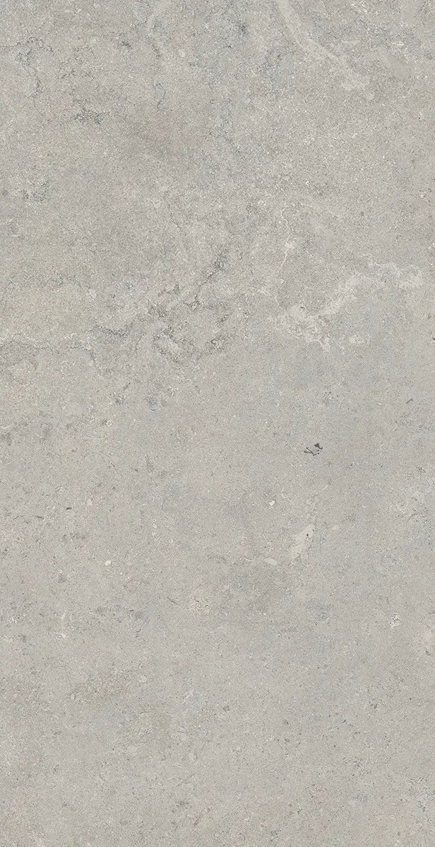 32" x 64" Essential Gray Rectified Matte DF 8.5mm Floor Tile - factory image 4