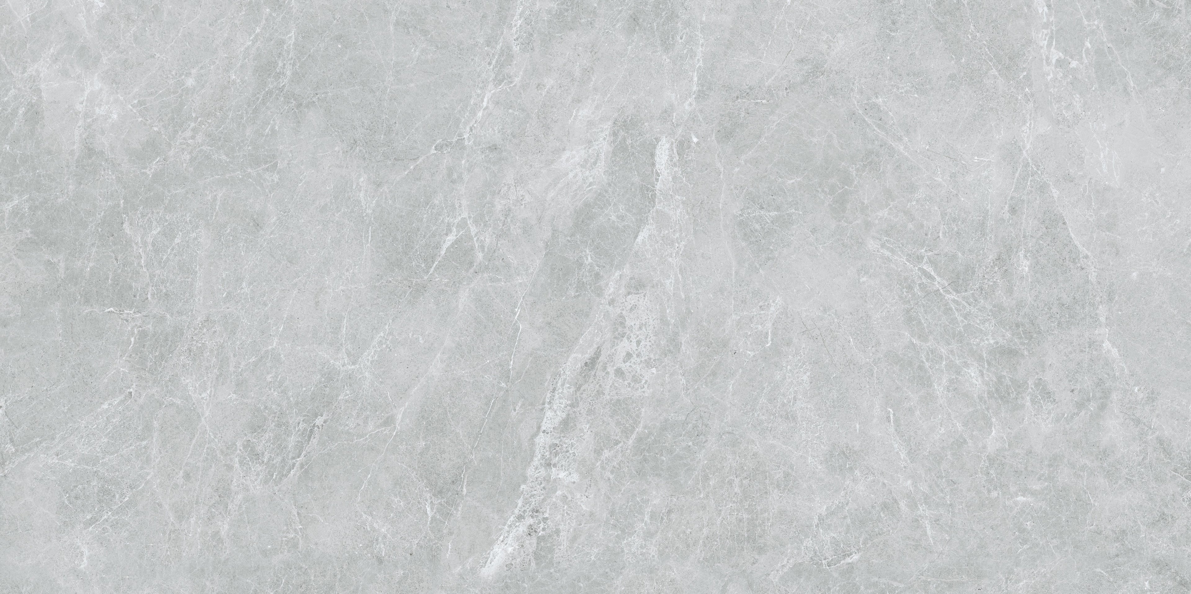 32"x64" Swan Gray Polished Rectified Porcelain Tile
