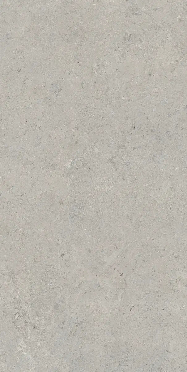 64" x 128" Essential Gray Non-rectified Matte SHP 12mm Porcelain Slab - factory image 1