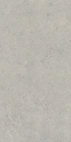 64" x 128" Essential Gray Non-rectified Matte SHP 12mm Porcelain Slab - factory image 1