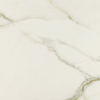 24"x48" Royal Calacatta Rectified Polished Porcelain Tile