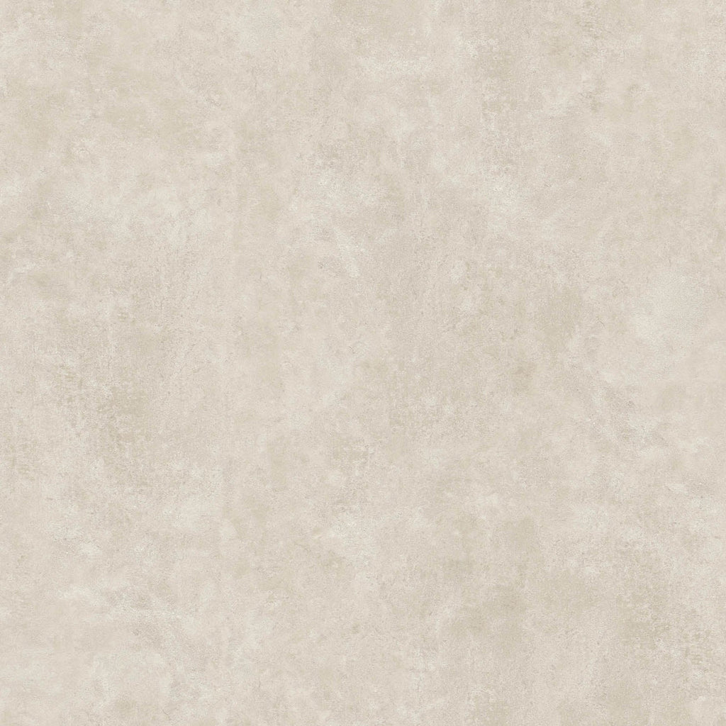 64"x 128" Vista Bone Porcelain Slab