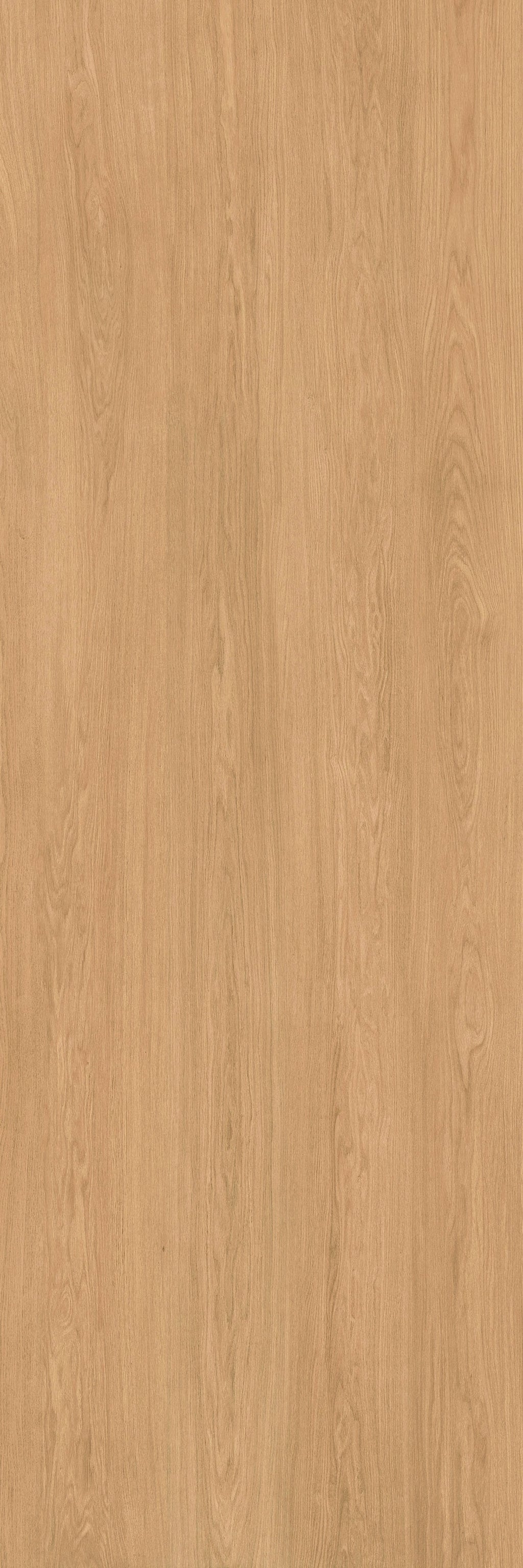 48"x118" Urbano Matte Oak Rectified 3mm Slim