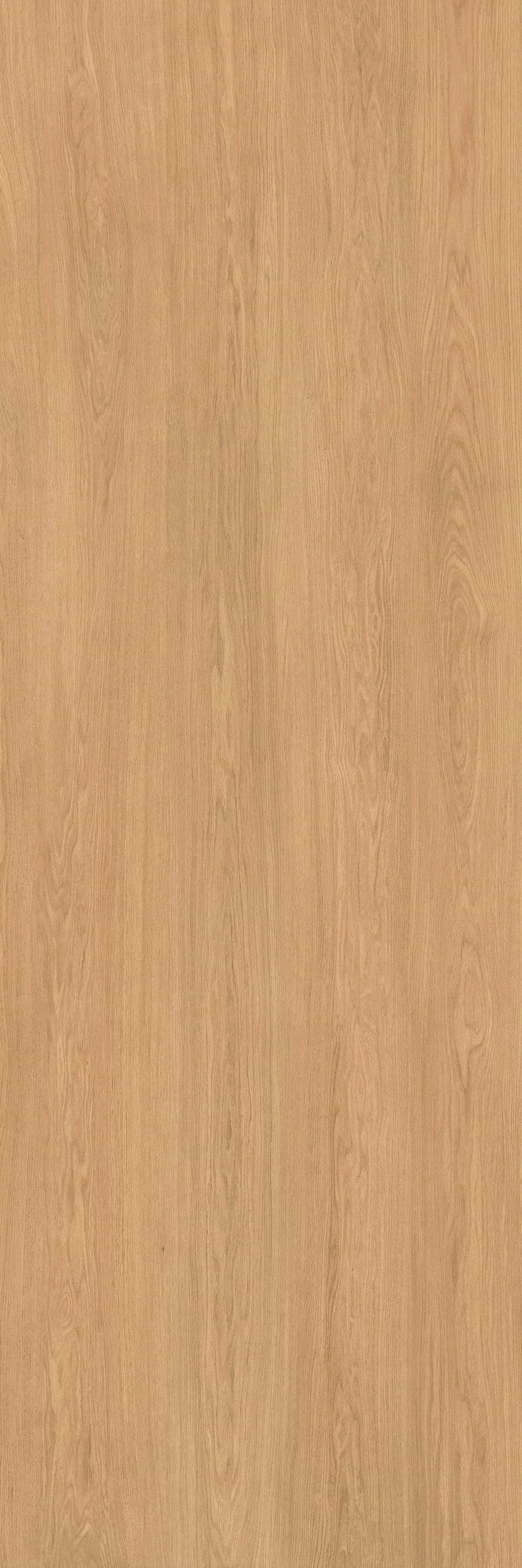 48"x118" Urbano Matte Oak Rectified 3mm Slim