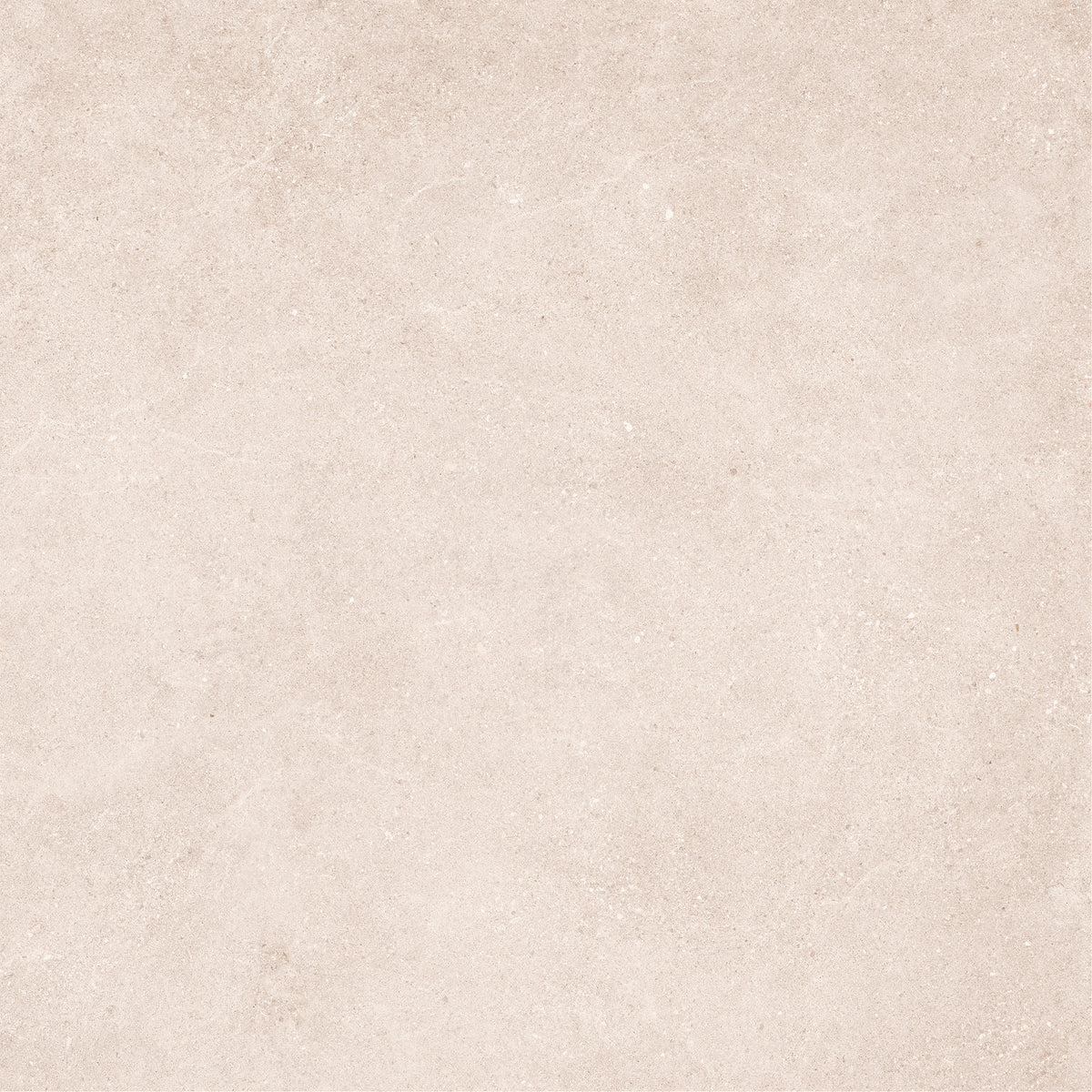 48"x48" Padova Bone Rectified Matte Porcelain Tile