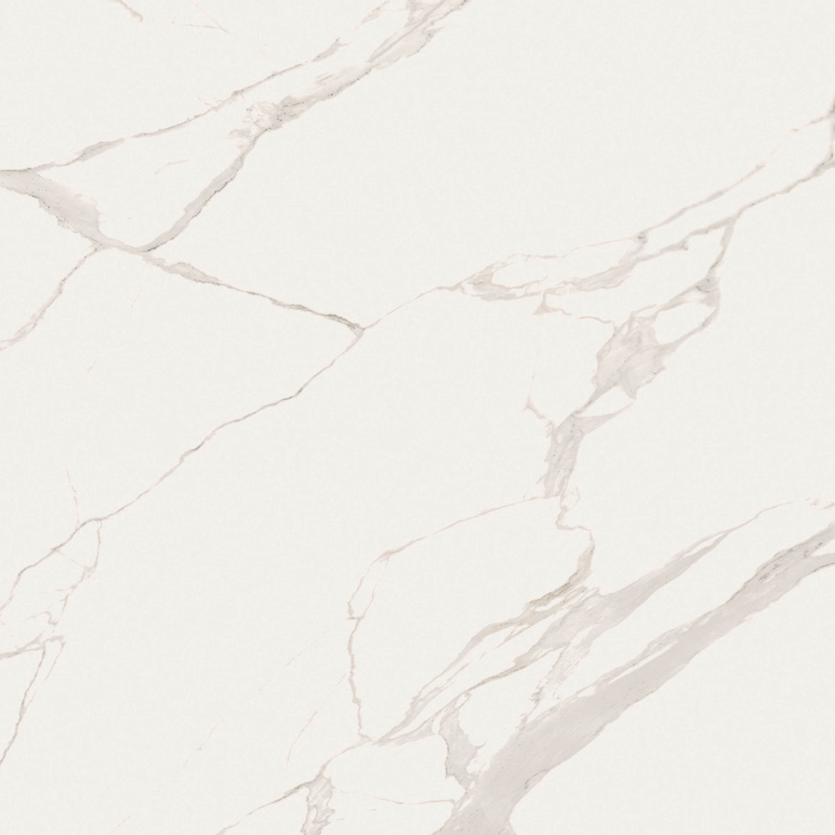 48"x48" Statu Matte Rectified Porcelain Tile