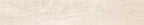 8.5" x 48.5" Dendro Maple — factory tile face
