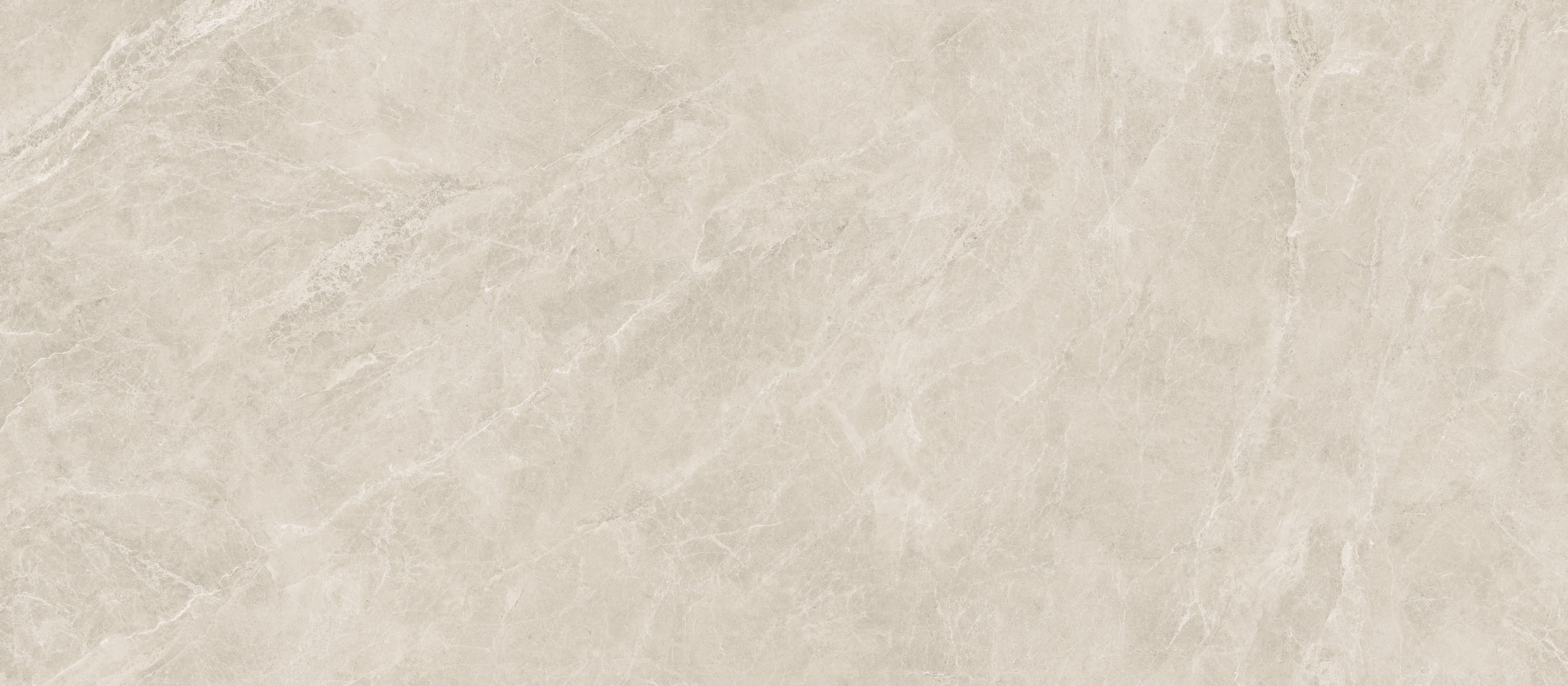 48"x110" Swan Latte Soft Matte Rectified 6MM