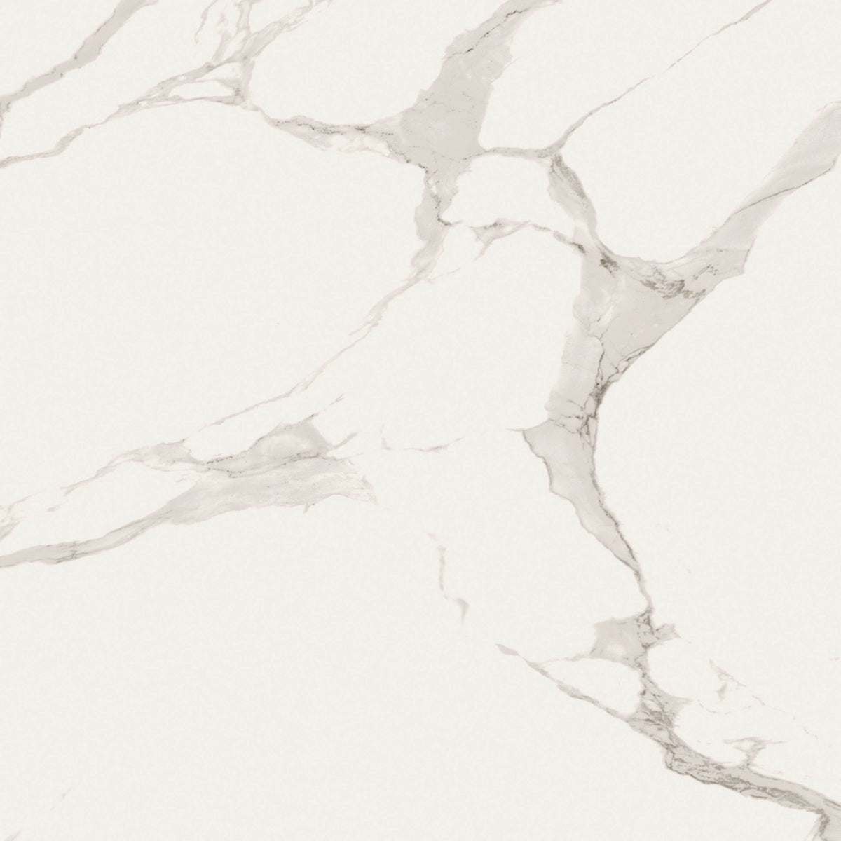 48"x48" Statu Matte Rectified Porcelain Tile