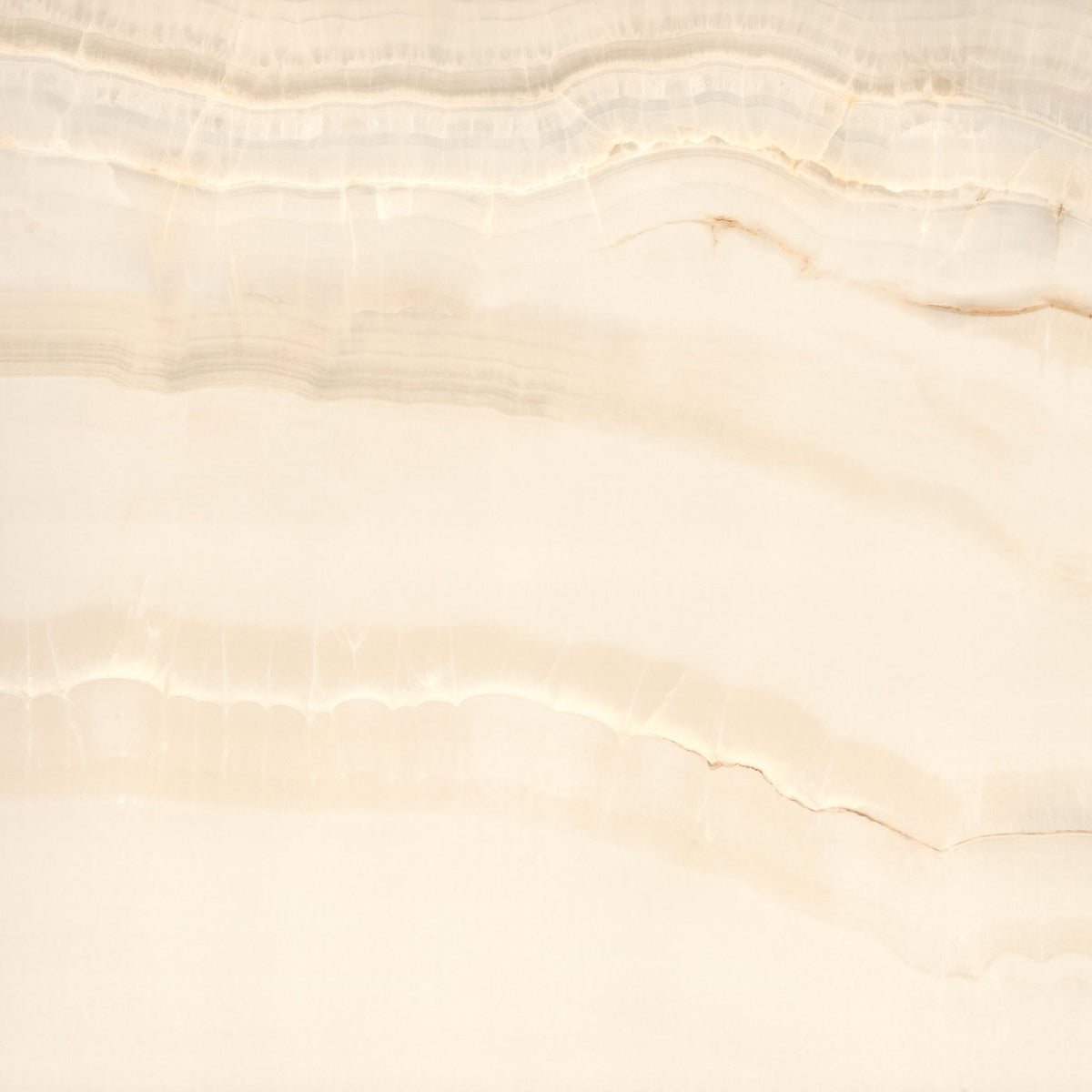 48"x48" Opal Bone Rectified Polished Porcelain Tile