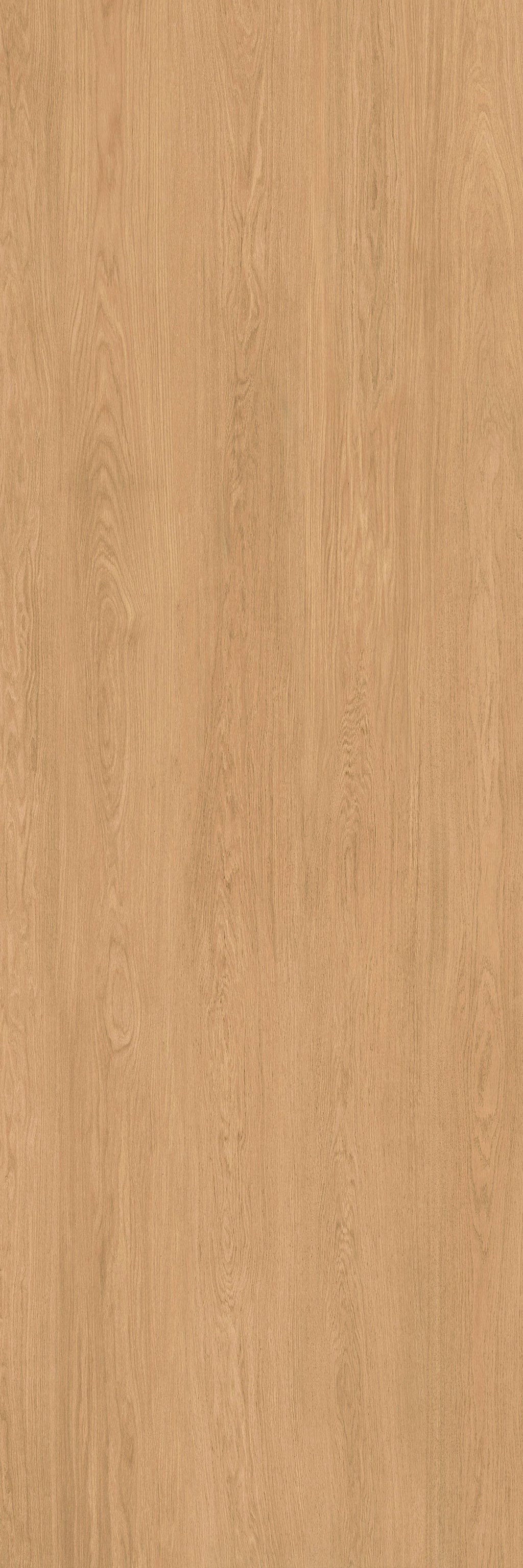 48"x118" Urbano Matte Oak Rectified 3mm Slim
