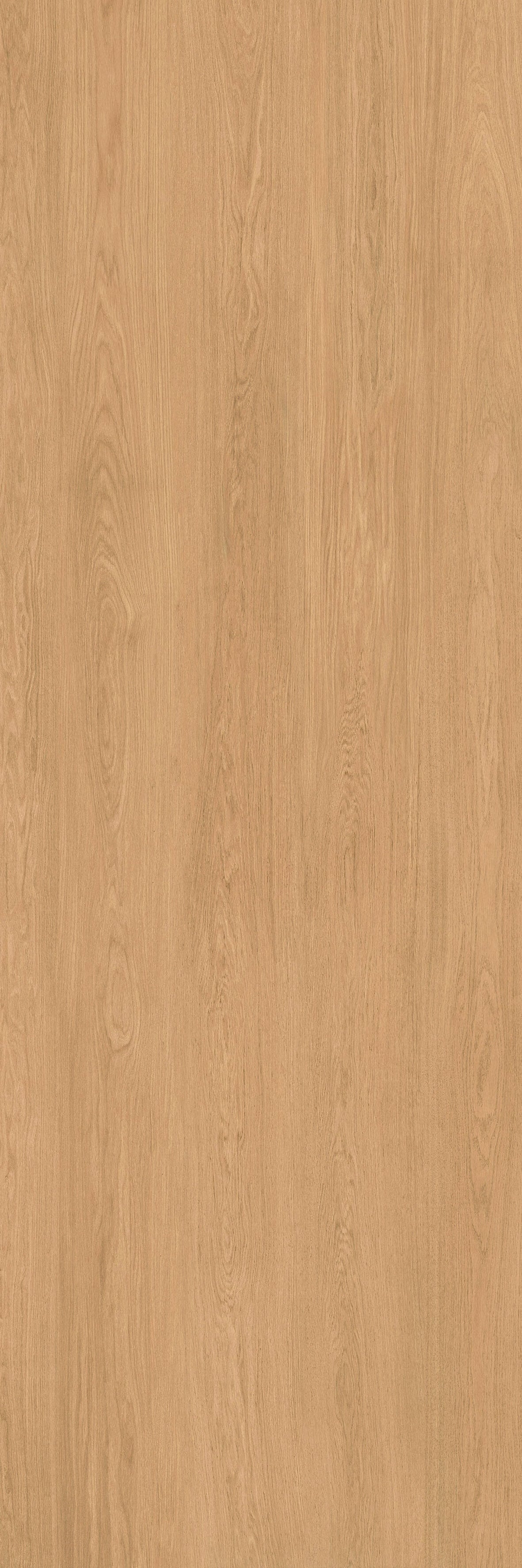 48"x118" Urbano Matte Oak Rectified 3mm Slim