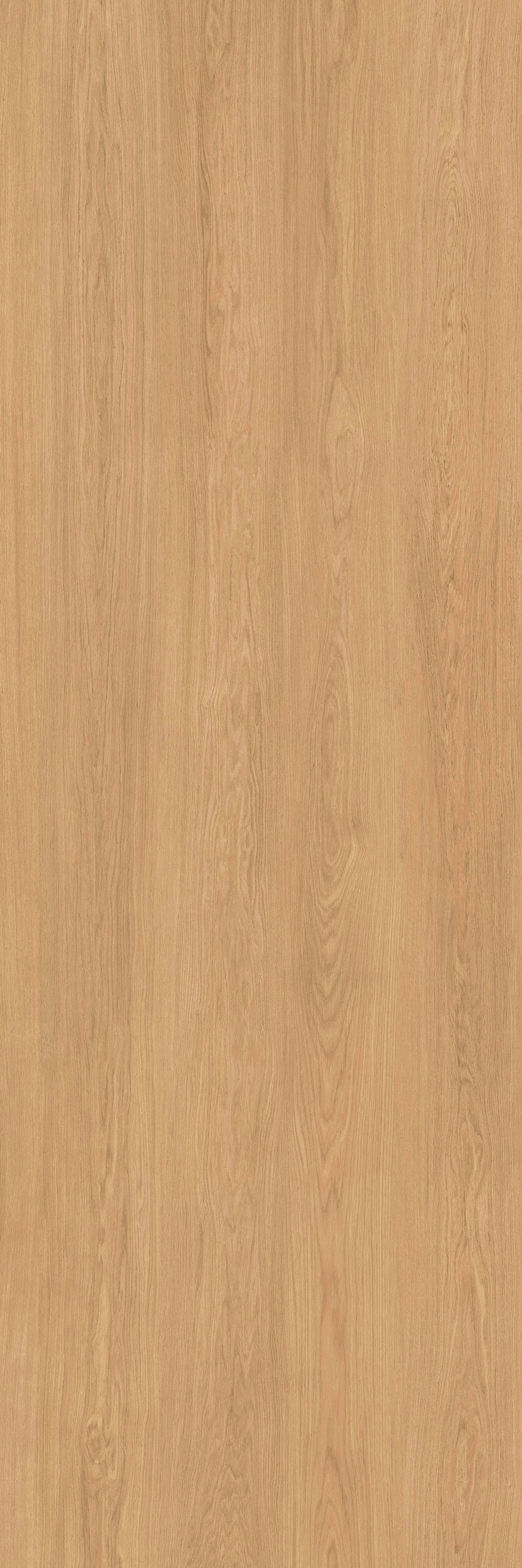 48"x118" Urbano Matte Oak Rectified 3mm Slim