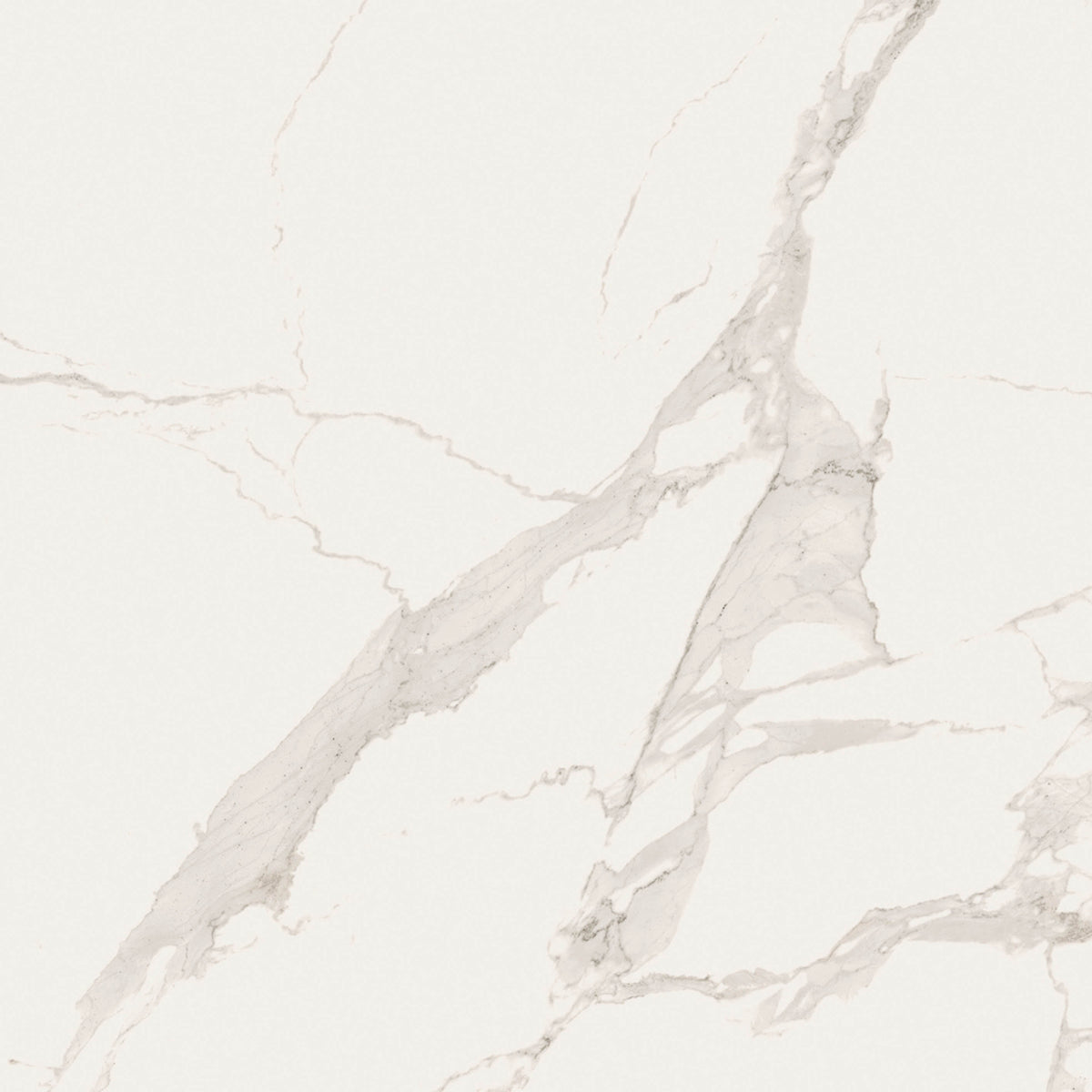 48"x48" Statu Matte Rectified Porcelain Tile
