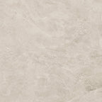 48"x48" Swan Latte Rectified Polished Porcelain Tile