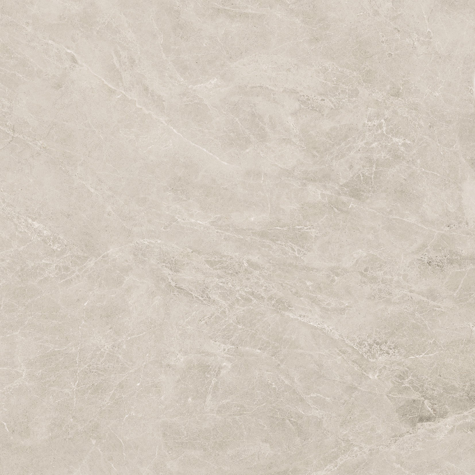 48"x48" Swan Latte Rectified Polished Porcelain Tile