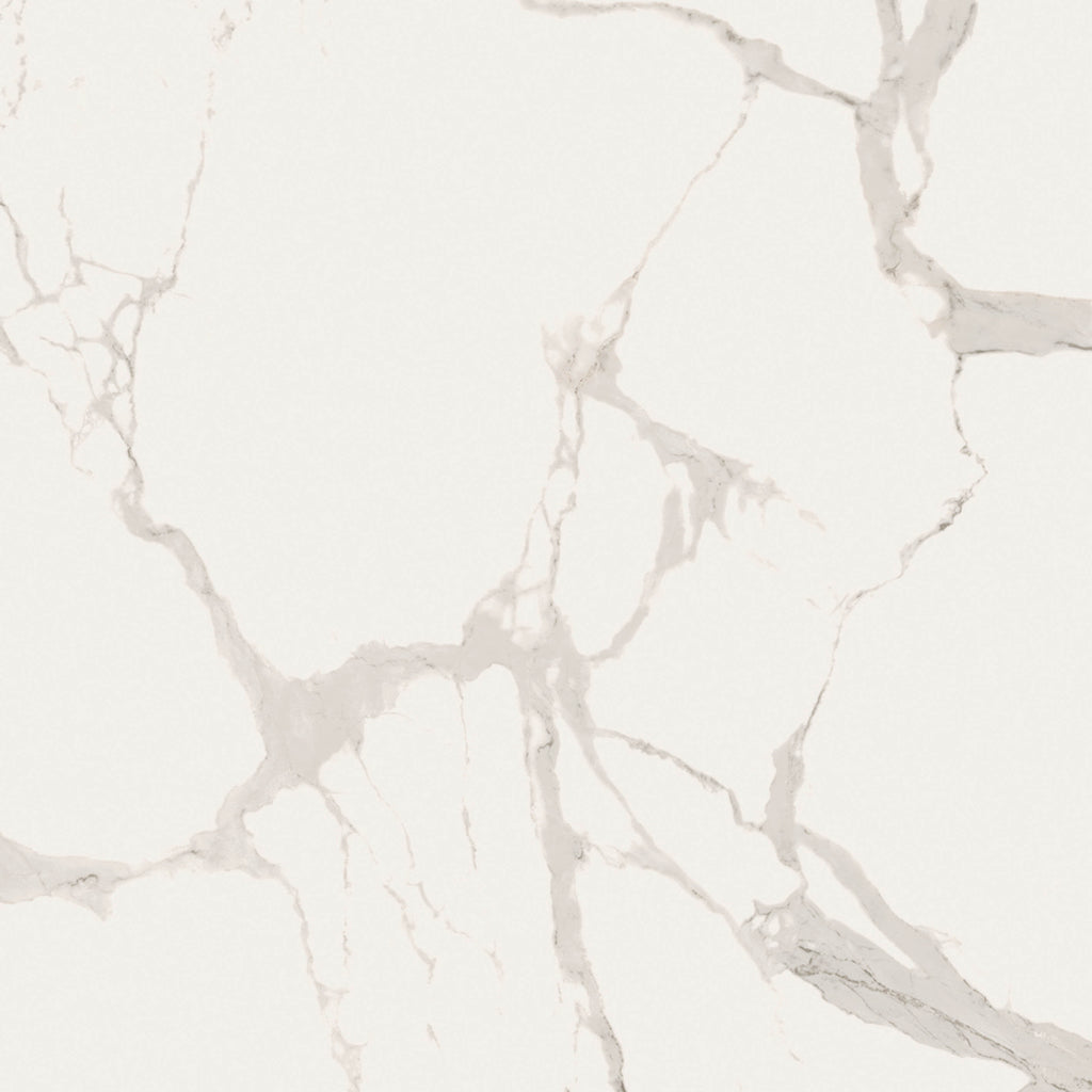 48"x48" Statu Matte Rectified Porcelain Tile