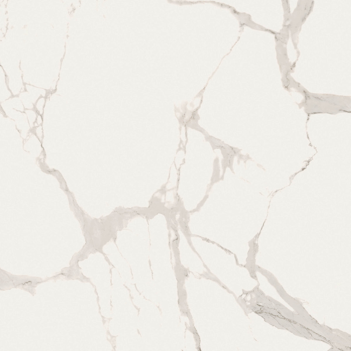 48"x48" Statu Matte Rectified Porcelain Tile